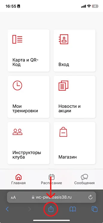 Кнопка Поделиться в Safari
