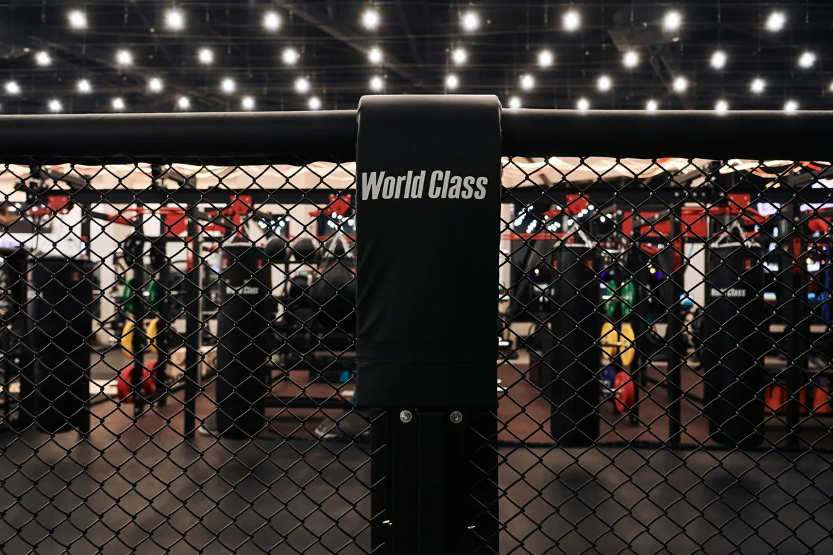 Функциональная зона и оборудование для бокса WORLD CLASS «Притяжение»